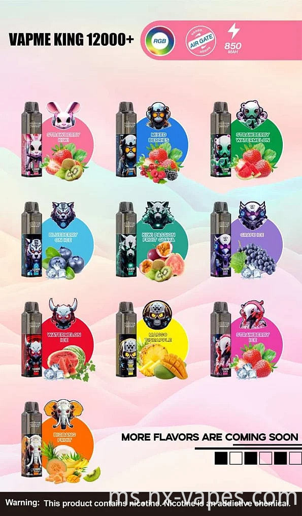 VAPME KING 12000 (5)